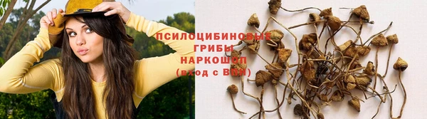таблы Арсеньев