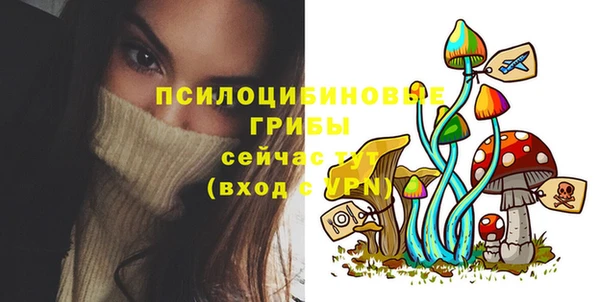 таблы Арсеньев