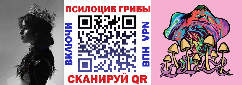 наркотики  Льгов  Галлюциногенные грибы GOLDEN TEACHER 